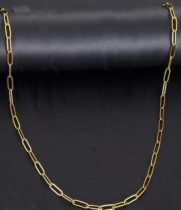 Rostfria Stålhalsband